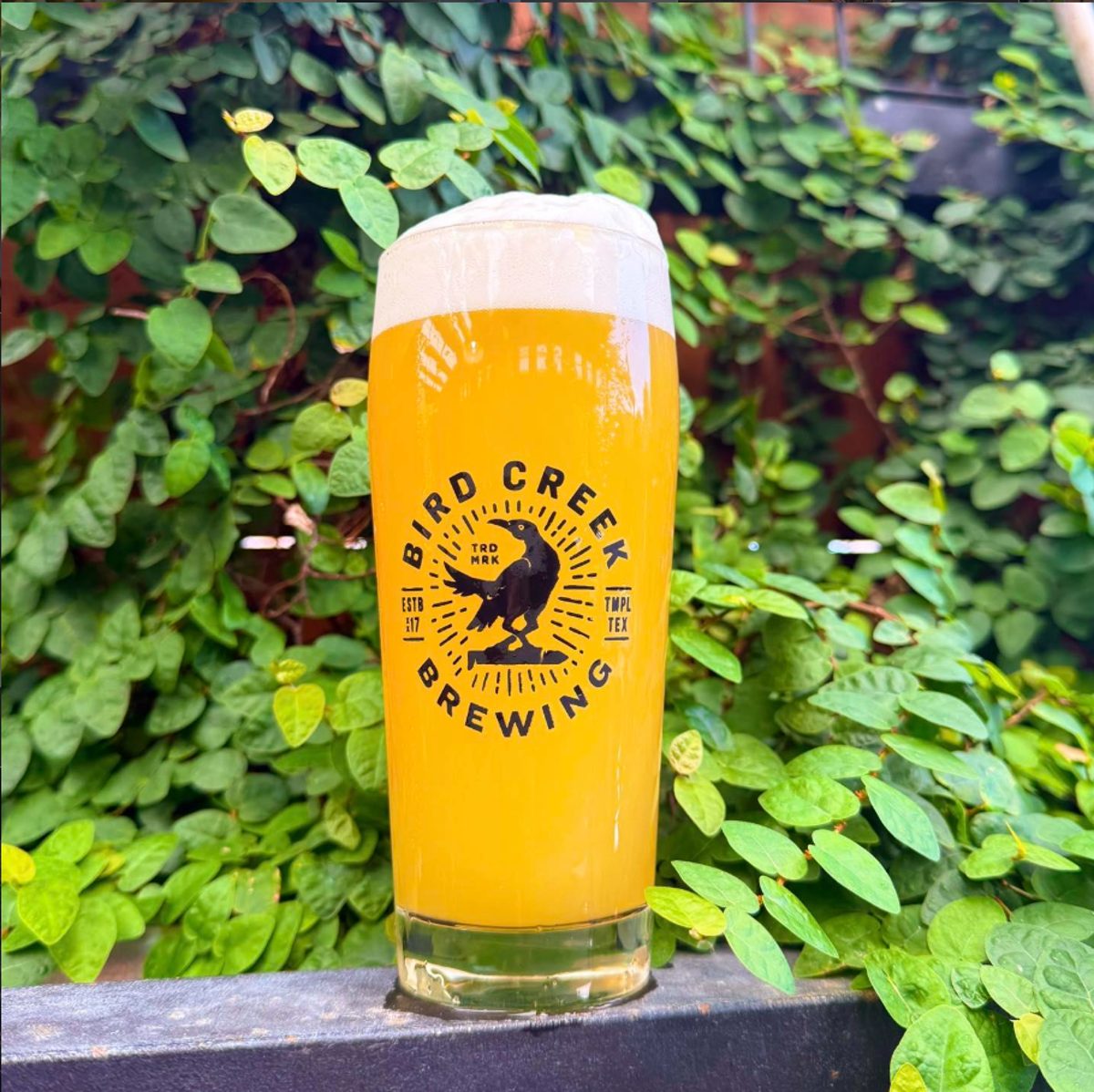 Happy hour — pour more, pay less